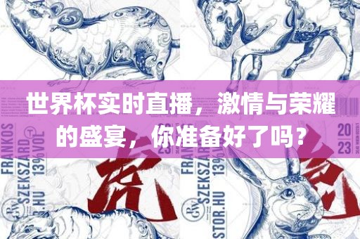世界杯实时直播，激情与荣耀的盛宴，你准备好了吗？