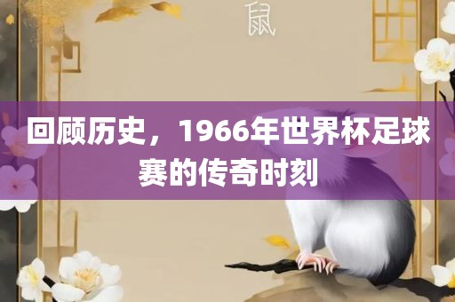 回顾历史，1966年世界杯足球赛的传奇时刻眉山市正发家政服务有限公司