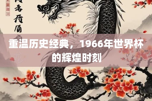 重温历史经典，1966年世界杯的辉煌时刻眉山市正发家政服务有限公司
