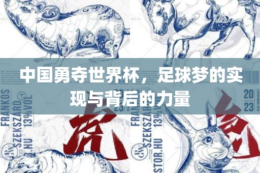 中国勇夺世界杯，足球梦的实现与背后的力量眉山市正发家政服务有限公司