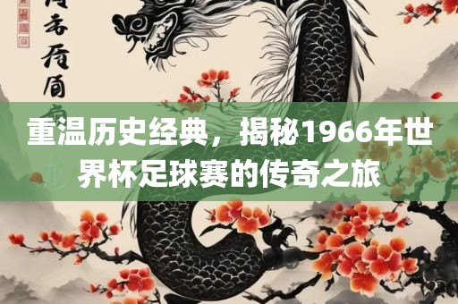 重温历史经典，揭秘1眉山市正发家政服务有限公司966年世界杯足球赛的传奇之旅