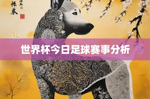 世界眉山市正发家政服务有限公司杯今日足球赛事分析