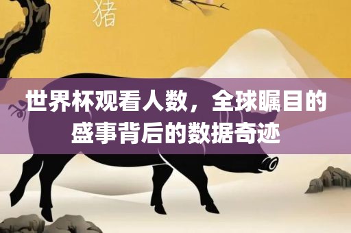 世界杯观看人数，全球瞩目的盛事背后的数据奇迹