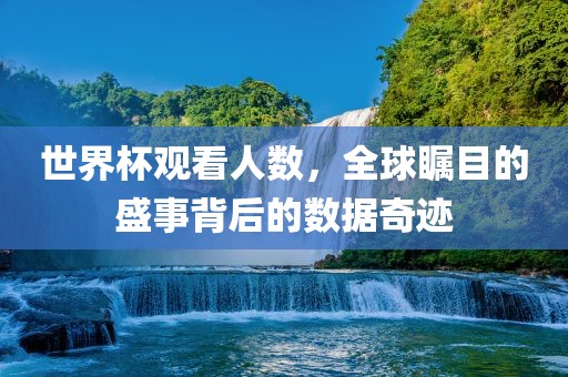 世界杯观看人数，全球瞩目的盛事背后的数据奇迹眉山市正发家政服务有限公司