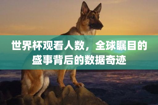 世界杯观看人数，全球瞩目的盛事背后的数据奇迹