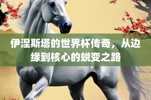 伊涅斯塔的世界杯传奇，从边缘到核心的蜕变之路眉山市正发家政服务有限公司