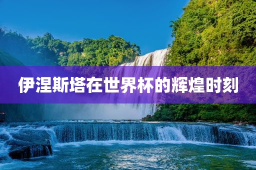 伊涅斯塔在世界杯的辉煌时刻眉山市正发家政服务有限公司