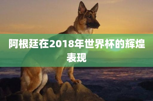 阿根廷在2018年世界杯的辉煌表现