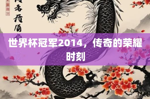 世界杯冠军2014，传奇的荣耀时刻