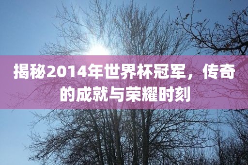 揭秘2014年世界杯冠军，传奇的成就与荣耀时刻眉山市正发家政服务有限公司