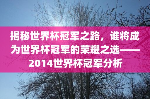 揭秘世界杯冠军之路，谁将成为世界杯冠军的荣耀之选——2014世界杯冠军分析眉山市正发家政服务有限公司