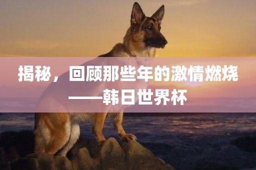 揭秘，回顾那些年的激情燃烧——韩日世界杯眉山市正发家政服务有限公司