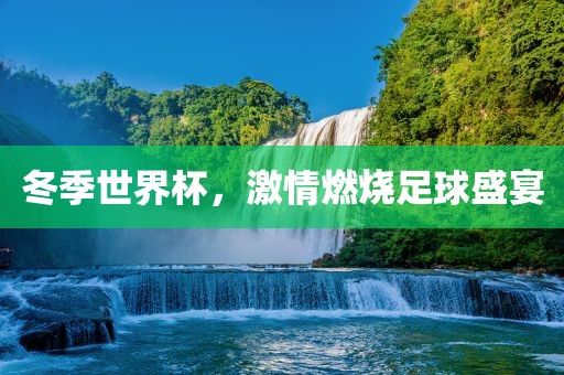 冬季世界杯，激情燃烧足球盛宴眉山市正发家政服务有限公司