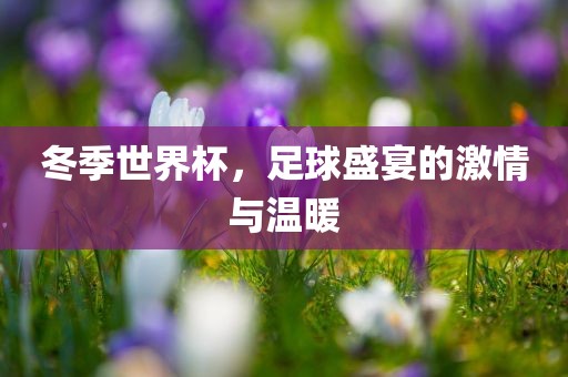冬季世界杯，足球盛宴的激情与温暖