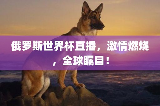 俄罗斯世界杯直播，激情燃烧，眉山市正发家政服务有限公司全球瞩目！