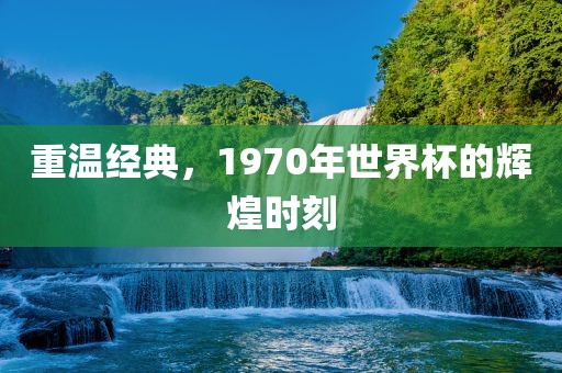 重温经典，1970眉山市正发家政服务有限公司年世界杯的辉煌时刻