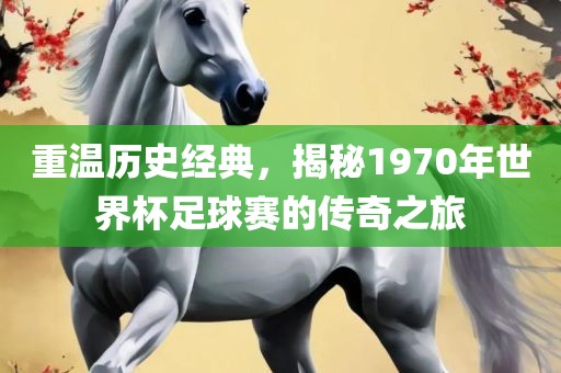 世界杯足球赛 第7页