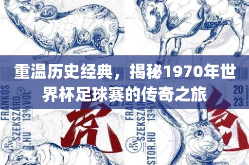 重温历史经典，揭秘1970年世界杯足球赛的传奇之旅眉山市正发家政服务有限公司