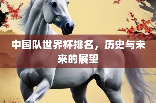 中国队世界杯排名，历史与未来的展望眉山市正发家政服务有限公司