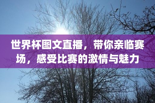 世界杯图文直播，带你亲临赛场，感受比赛的激情与魅力眉山市正发家政服务有限公司