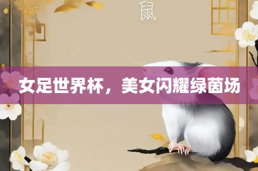 女足世界杯，美女闪耀绿茵场眉山市正发家政服务有限公司