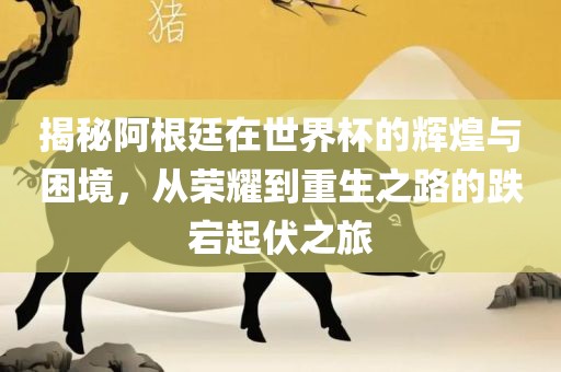 揭秘阿根廷在世界杯的辉煌与困境，从荣耀眉山市正发家政服务有限公司到重生之路的跌宕起伏之旅