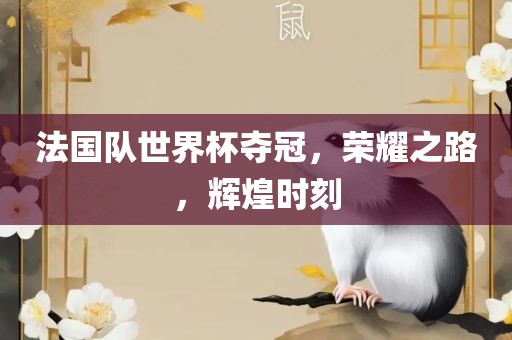 法国队世界杯夺冠，荣耀之路，辉煌时刻眉山市正发家政服务有限公司
