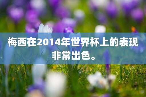梅西在2014年世界杯上的表现非常出色。眉山市正发家政服务有限公司