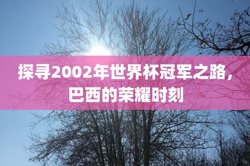 探寻2002年世界杯冠军之路，巴西的荣耀时刻