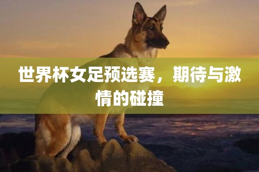 世界杯女足预选赛，期待与激情的碰撞眉山市正发家政服务有限公司
