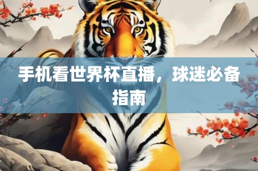 手机看世界杯直播，球迷必备指南眉山市正发家政服务有限公司