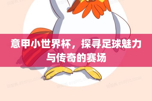 意甲小世界杯，探寻眉山市正发家政服务有限公司足球魅力与传奇的赛场
