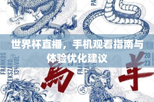 世界杯直播，手机眉山市正发家政服务有限公司观看指南与体验优化建议