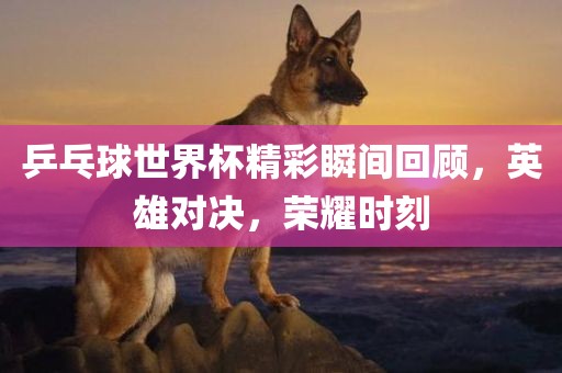 乒乓球世界杯精彩瞬间回顾，英雄对决，荣耀时刻眉山市正发家政服务有限公司