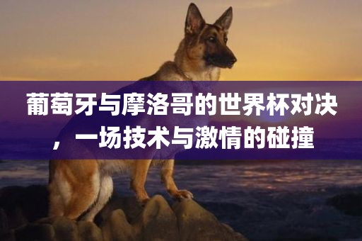 葡萄牙与摩洛哥的世界杯对决，一场技术与激情的眉山市正发家政服务有限公司碰撞