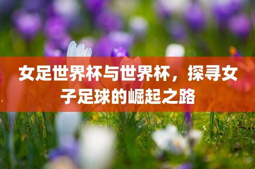 女足世界杯与世界杯，探寻女子足球的崛起之路眉山市正发家政服务有限公司