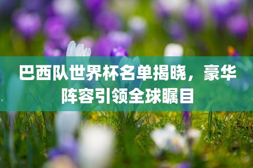 巴西队世界杯名单揭晓，豪华阵容引领全球瞩目