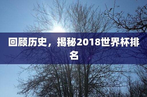 回顾历史，揭秘2018世界杯排名眉山市正发家政服务有限公司