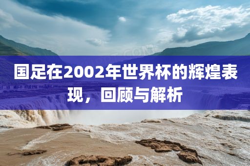 国足在2002年世界杯的辉煌表现，回顾与解析眉山市正发家政服务有限公司