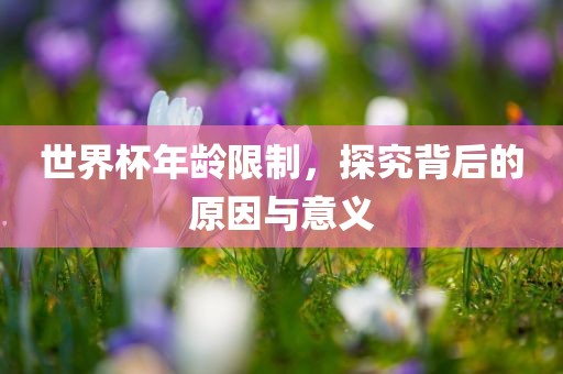 世界杯年龄限制，探究背后的原因与意义眉山市正发家政服务有限公司