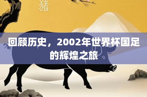 回顾历史，2002年世界杯国足的辉煌之旅眉山市正发家政服务有限公司