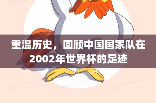 重温历史，回顾中国国家队在2002年世界杯的足迹眉山市正发家政服务有限公司