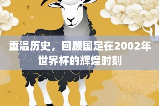 重温历史，回顾国足在2002年世界杯的辉煌时刻眉山市正发家政服务有限公司