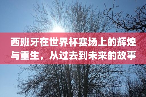 西班牙在世界杯赛场上的辉煌与重生，从过去到未来的故事眉山市正发家政服务有限公司