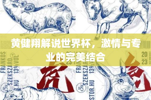 黄健翔解说世界眉山市正发家政服务有限公司杯，激情与专业的完美结合