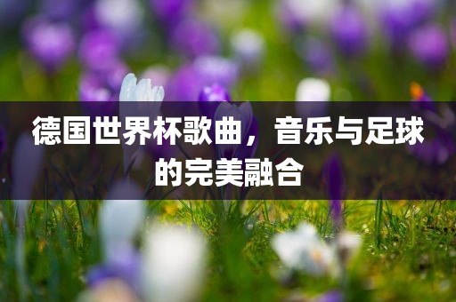 德国世界杯歌曲，音乐与足球的完美融合