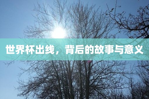世界杯出线，背后的故事与意义