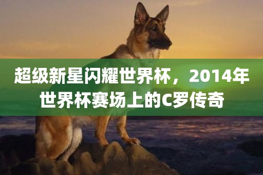 超级新星闪耀世界杯，2014年世界杯赛场上的C罗传奇眉山市正发家政服务有限公司
