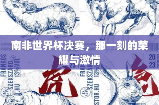 南非世界杯决赛，那一刻的荣耀与激情