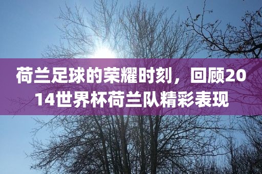 荷兰足球的荣耀时刻，回顾2014世界杯荷兰队精彩表现